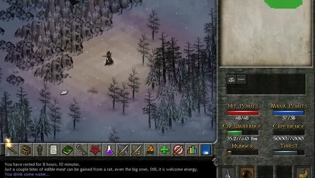 Eschalon: Book II PC Screenshot