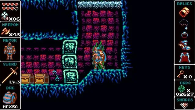 Odallus: The Dark Call PC Screenshot