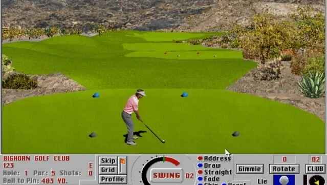 Links Pro PC Screenshot