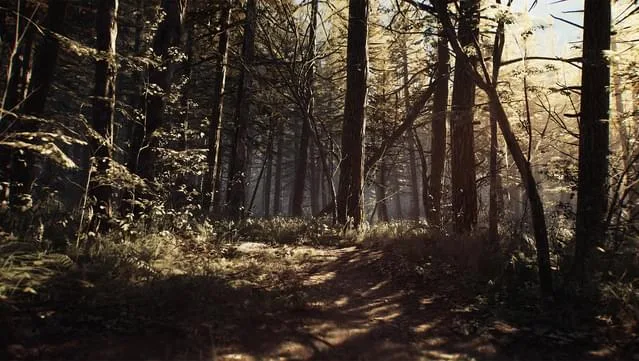 Blair Witch Deluxe Edition PC Screenshot