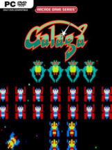 ARCADE GAME SERIES: GALAGA Free Download